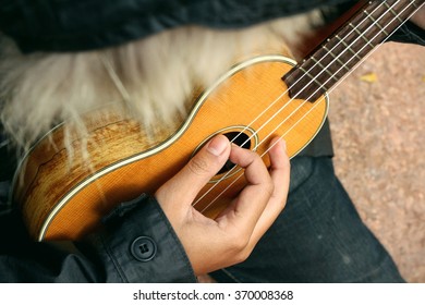 Ukulele
