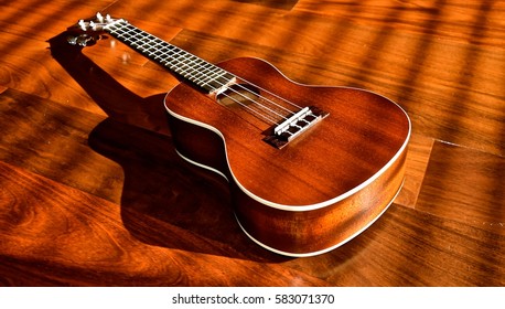 small guitar like instrument with 8 strings