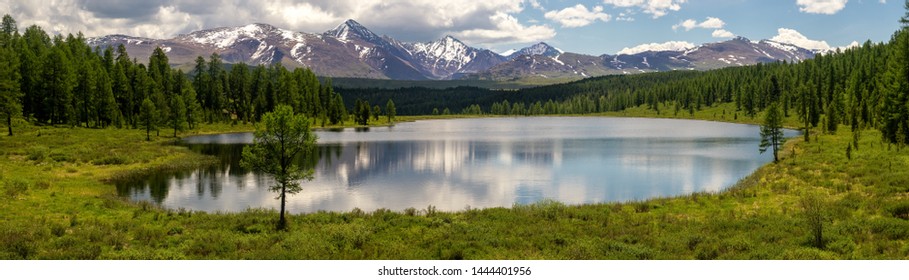 Ulagan Lake Cicely, Altai, Russia, June