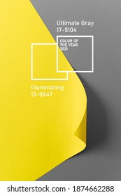 Ultimate Grey And Illuminating Colors Of The Year 2021. Color Trend Palette. Stylish Background