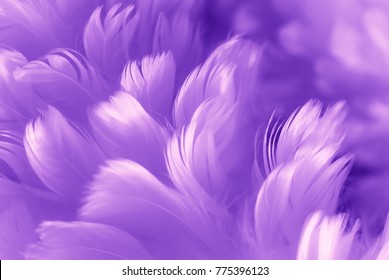 Las plumas ultravioletas se cierran    Color del año 2018  Fondo de textura suaves y suaves color púrpura abstracto    Tendencias de color de moda en los fondos de pantalla 