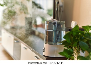 Ultrasonic cool mist humidifier for home on a table