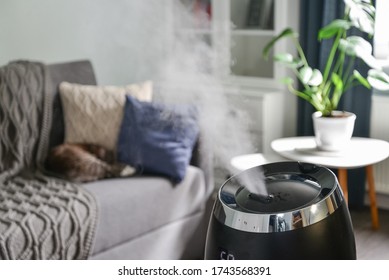 Ultrasonic cool mist humidifier for home on a small table in living room closeup