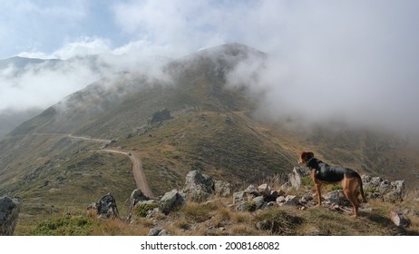 1,033 Ulu mountain Images, Stock Photos & Vectors | Shutterstock