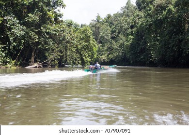 Ulu Temburong National Park Brunei November Stock Photo (Edit Now ...