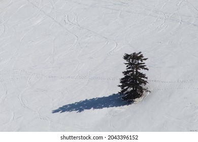 Uludag Ski Resort In Winter