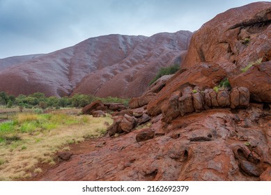 Uluru - Ayers Rock. Aboriginal Sacred Place. UNESO World Heritage. Red Sandstone Rock Closeup Of Caves.