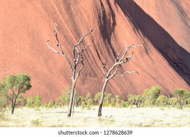 Uluru National Park