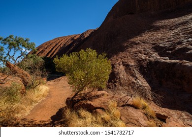 Uluru, Northern Territory / Australia - May 18 2018: Closeup Of Uluru From The Base Walk With Natural Tones And Colours Of Ayers Rock