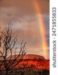 Uluru-Kata Tjuta National Park, Northern Territory, Australia: Rainbow over Uluru, Australia