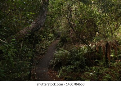 Ulva Island Track , Stewart Island , New Zealand