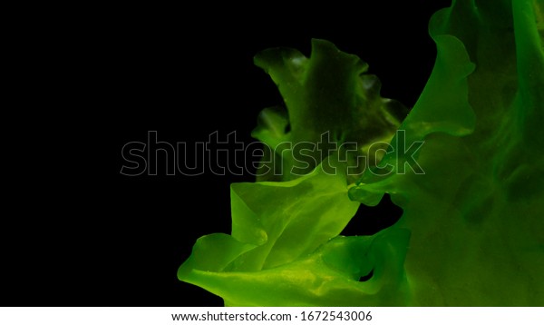 Ulva rigida, sea lettuce, marine alga, seaweed\
and green algae isolated on black background, This algae powerful\
natural food source that is rich in protein, vitamins, and fatty\
acids. Healthy seafood