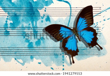 Ulysses blue butterfly and notes. Butterfly melody. Photo of old music sheet in blue watercolor paint. Blues music concept. Abstract blue watercolor background. copy spaces