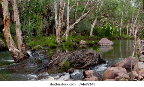 Umbrawarra Gorge, Pine Creek, NT