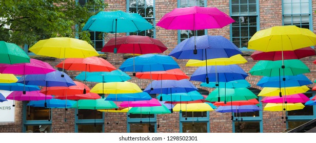 Umbrella Art Installation