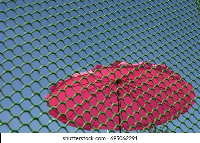 Umbrella close up