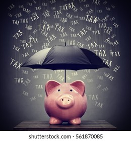 Umbrella for hiding piggy bank savings account from tax