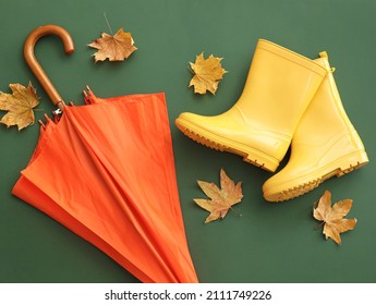 Umbrella, rubber boots and autumn leaves on green background - Powered by Shutterstock