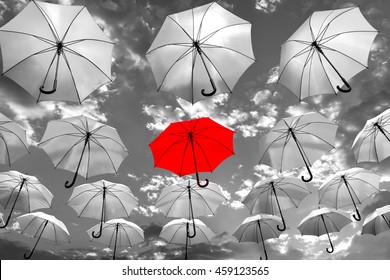 umbrella standing out from the crowd unique concept