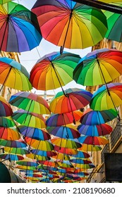 Umbrella Street In Bucharest, Romania. Travels