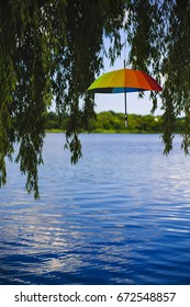 Umbrella in tree decor concept
