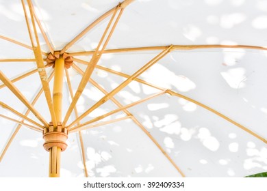Umbrella under the tree with shadows 