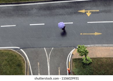 Umbrella Woman Walking On The Rainy Day, Bird's Eye View