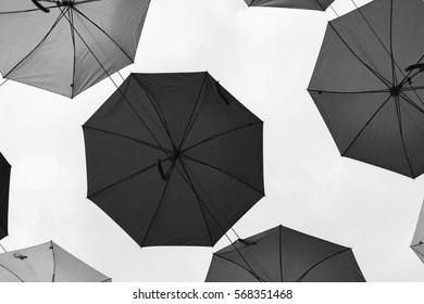 umbrellas 