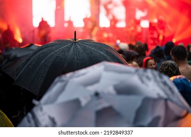 Umbrellas During A Music Concert In The Rain