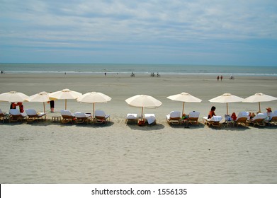 Umbrellas On Beach At Kiawah Island Near Charleston, SC