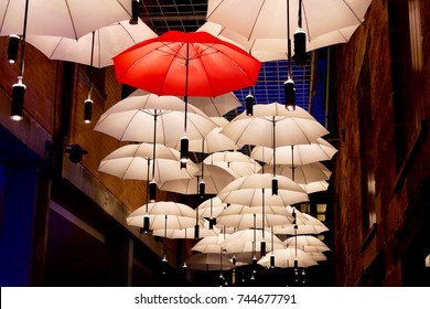 Umbrellas In The Street, Sydney, Australia