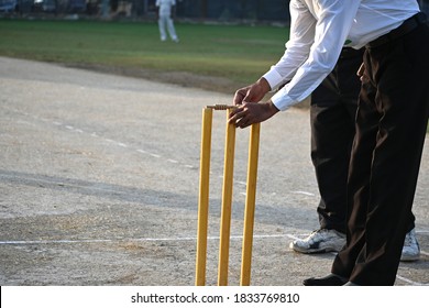 Umpire Setting Cricket Stumps Before a Match - Powered by Shutterstock