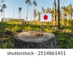 UN Climate Change Conference. Japan Deforestation. Ecological disaster, deforestation in Hokkaido and Iwate. Felled pine trees. 2024