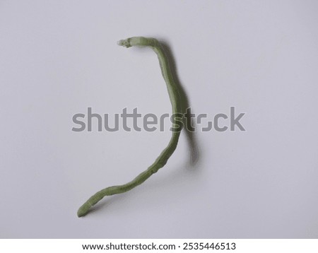 Similar – Image, Stock Photo A finger ring, spontaneously woven from blades of grass on a walk.