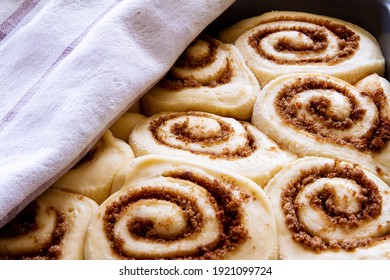 Unbaked Cinnamon Buns Rising Under A Tea Towel; Delicious Cinnamon Rolls Ready To Bake In The Oven