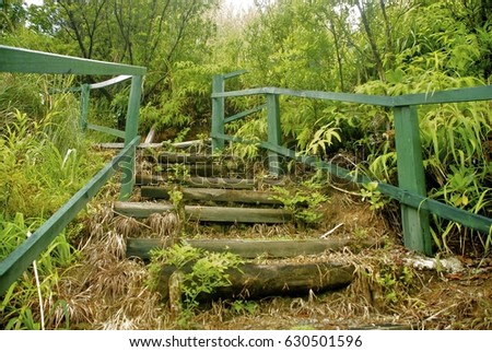 unbeaten path