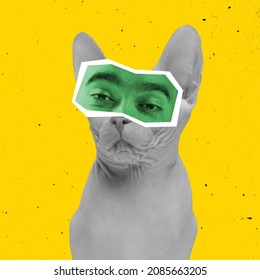 Unbelievable. Contemporary Collage With Portrait Of Cat Sphinx With Male Eyes Isolated Over Yellow Background. Animals With Human Emotions. Concept Of Surrealism, Fun, Creativity, Inspiration.