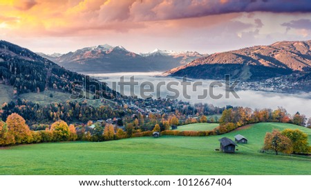 Similar – Image, Stock Photo Cow in the Austrian Pitztal valley