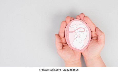 Unborn Baby In The Uterus, Drawing Of A Fetus In The Last Trimester Of Pregnancy, Childbirth And Motherhood, Gynecology Health Care