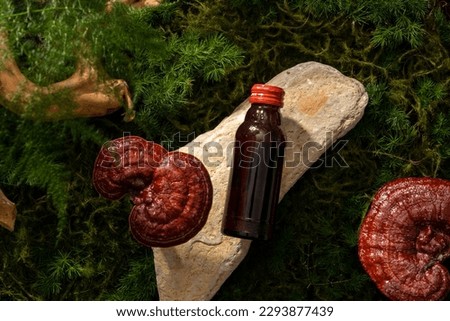 Unbranded glass bottle containing herbal medicine placed on a block of stone, decorated with Lingzhi mushrooms. Lingzhi mushroom (Ganoderma Lucidum) has anti-cancer properties