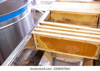 Uncapped honey frames on table with honey extractor on the background. Harvest of sunflower honey in summer, professional beekeeping equipment, frames full of fresh ripe honey ready for extraction - Powered by Shutterstock