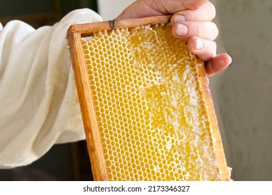 Uncapping honey cells with a fork. Professional beekeeper holds wooden frame with bee honeycomb in his hands, collects fresh yellow sweet honey with special tool. - Powered by Shutterstock