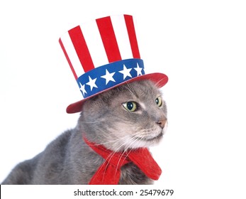 Uncle Sam cat