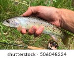 The uncommon Bonneville Cutthroat Trout, Oncorhynchus clarki utah, caught on a fly