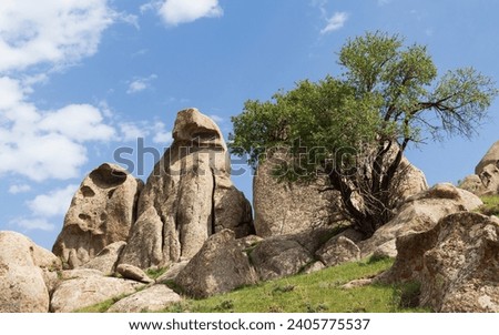 Uncommon boulders of so called “Stony Garden” next to Koytash settlement in Jizzak region of Uzbekistan.
