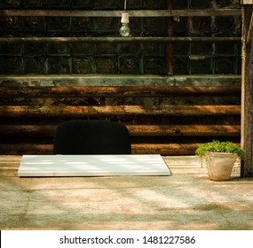 An Unconventional Working Space Inside An Abandoned Greenhouse