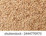 Uncooked brown lentils background. Dry brown lentil grains. Top view