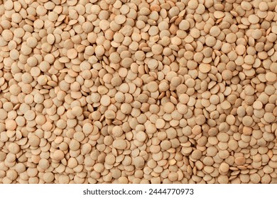 Uncooked brown lentils background. Dry brown lentil grains. Top view