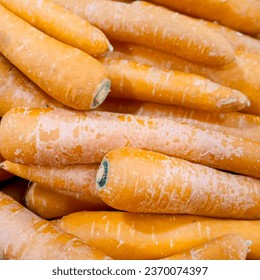 Uncooked carrots with orange color are ripe and ready to sell and cook. - Shutterstock ID 2370074397