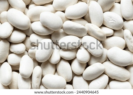 Uncooked dried white haricot beans texture background. Heap of legume haricot bean background ( Phaseolus vulgaris )